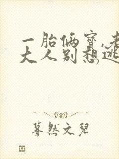 一胎俩宝,老婆大人别想逃的小说封面