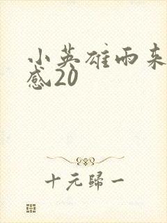 小英雄雨来读后感20