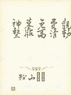 神墓免费观看完整版高清动漫在线