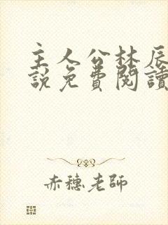 主人公林辰的小说免费阅读全文