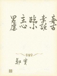 男主临幸妾室的虐心小说古言封面