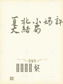 夏北小妈许馨柔大结局封面