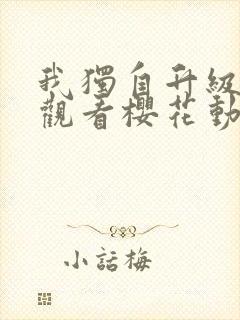 我独自升级在线观看樱花动漫