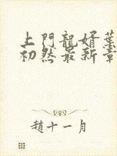 上门龙婿叶辰萧初然最新章节