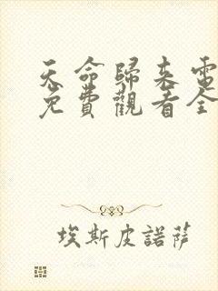 天命归来电视剧免费观看全集高清