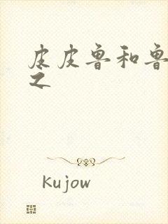 皮皮鲁和鲁西西之封面