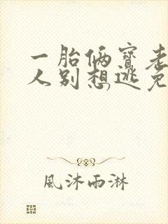 一胎俩宝老婆大人别想逃免费小说