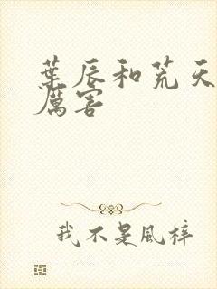 叶辰和荒天帝谁厉害