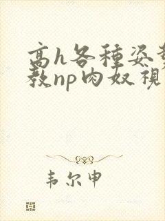 高h各种姿势调教np肉奴视频