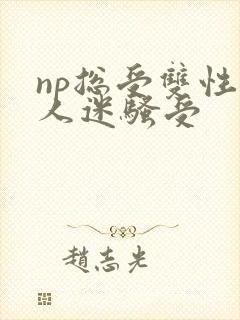 np总受双性万人迷骚受封面