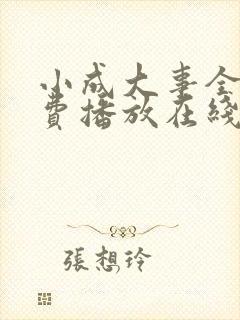 小成大事全集免费播放在线观看