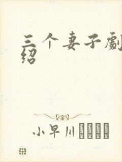 三个妻子剧情介绍封面