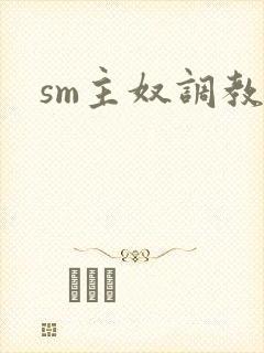 sm主奴调教