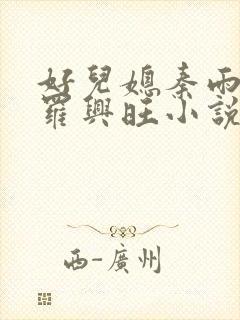 好儿媳秦雨罗明罗兴旺小说封面