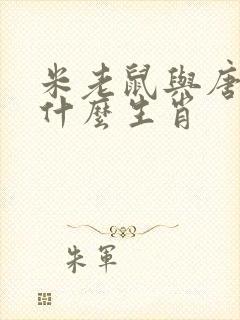 米老鼠与唐老鸭什么生肖