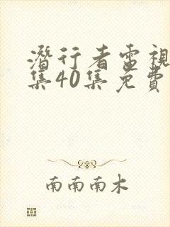 潜行者电视剧全集40集免费云播放