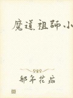 魔道祖师小说