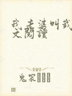 我老婆叫武艳全文阅读封面