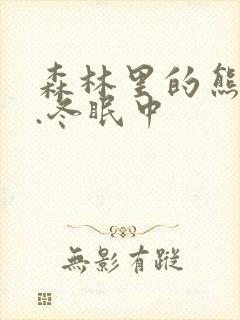 森林里的熊先生.冬眠中