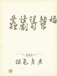 爱情从结婚开始短剧司昂