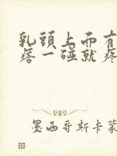 乳头上面有小疙瘩一碰就疼