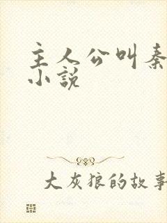 主人公叫秦峰的小说