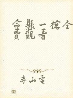 命悬一枪全集免费观看