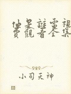 他是谁电视剧免费观看全集高清