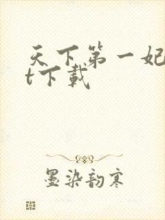 天下第一妃txt下载