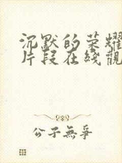 沉默的荣耀影视片段在线观看