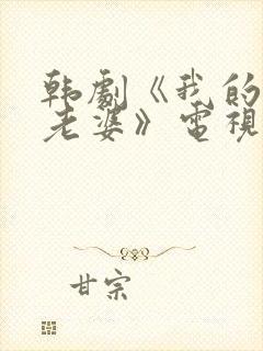 韩剧《我的邻居老婆》电视剧