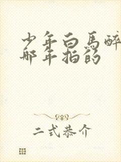 少年白马醉春风哪年拍的