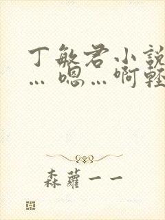 丁敏君小说嗯啊… 嗯…啊轻点啊封面