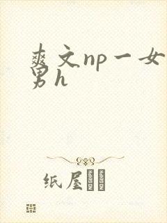 爽文np一女多男h封面