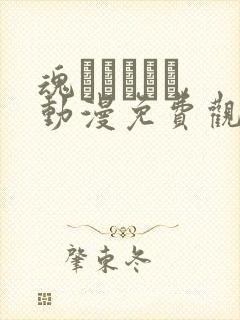 魂インサート,动漫免费观看