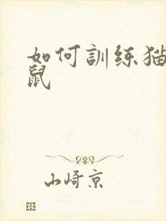 如何训练猫抓老鼠