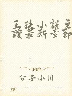 王扶小说免费阅读最新章节无弹窗