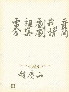 电视剧我哥我嫂分集剧情简介