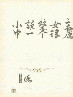 小说双女主,其中一个很厉害