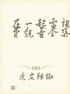 在一起电视剧免费观看全集完整版