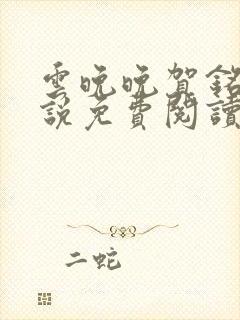 云晚晚贺铭云小说免费阅读封面