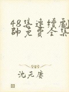 48集连续剧少帅免费全集观看