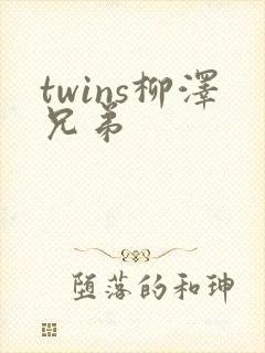 twins柳泽兄弟封面