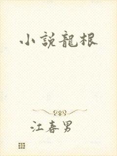 小说龙根