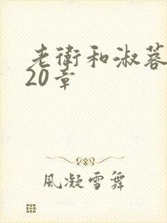 老卫和淑蓉1—20章