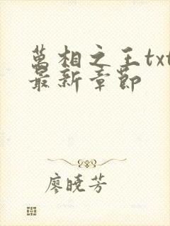 万相之王txt最新章节