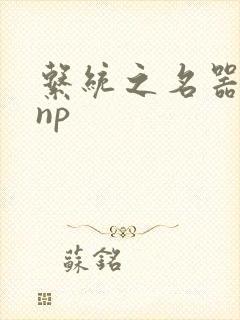 系统之名器攻略np