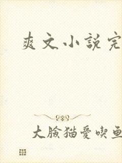 爽文小说完结文封面