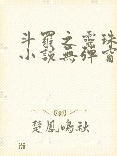 斗罗之灵珠神剑小说无弹窗全文免费阅读