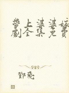 带上婆婆嫁电视剧全集免费观看封面